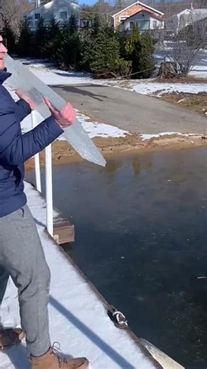 Icebreaker #satisfying#asmr#fyp#oddlysatisfying#ice