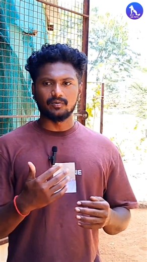 கோழிகளுக்கு deworming /how to deworm /sandai seval #sandaiseval #deworming #peruvidai #peruvidaifarm