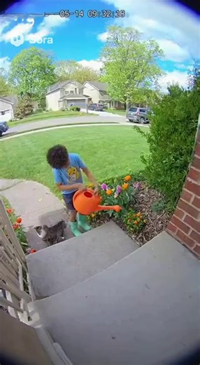 Wow what a brave cat! | Last 10 Seconds