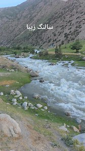 Afghan House Group on Reels