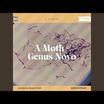 Chapter 10 - A Moth - Genus Novo