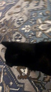 4.9K views · 44 reactions | The Narcoleptic Goddess on Reels | Facebook