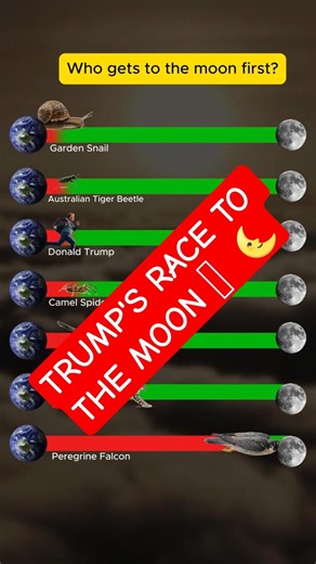 Donald Trump's Vs Animals Race to the moon #viral #funny #trending