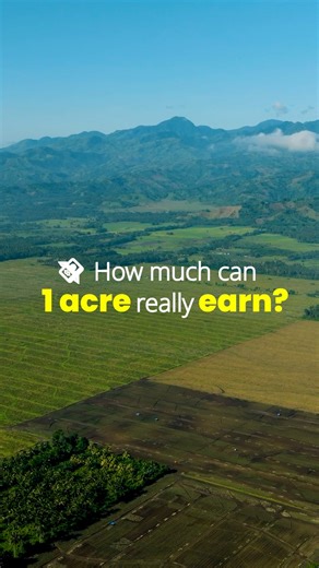 Hydro Health India | Hydroponic end-to-end solution provider on Instagram: "How much can 1 acre really earn in hydroponics? Here’s the honest breakdown (with conservative numbers): 𝑻𝒓𝒂𝒅𝒊𝒕𝒊𝒐𝒏𝒂𝒍 𝑭𝒂𝒓𝒎𝒊𝒏𝒈 (1 𝒂𝒄𝒓𝒆) ₹3–4 lakhs per year Unpredictable. Weather-dependent. Low margins. 𝑯𝒚𝒅𝒓𝒐𝒑𝒐𝒏𝒊𝒄 𝑭𝒂𝒓𝒎𝒊𝒏𝒈 (1 𝒂𝒄𝒓𝒆) 3–5× higher returns because it's controlled, predictable & efficient. Here’s what different crops generate annually (approx): 🥬 Leafy Greens: ₹10–15 la