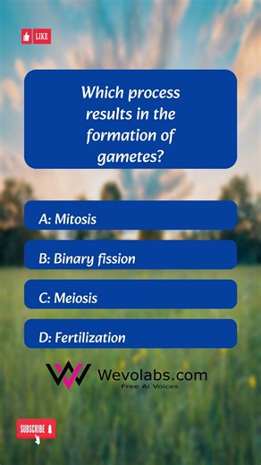 Guess Before the Timer Ends! Which process results in the formation of gametes?