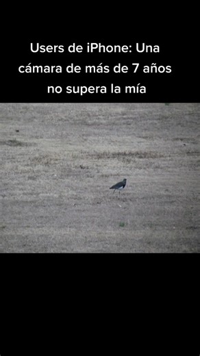 Explora la Canon PowerShot SX30 IS: ¿Vale la pena?