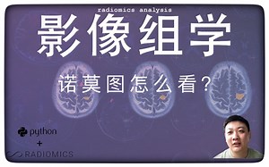 新影像组学｜诺莫图、列线图、Nomogram怎么看？
