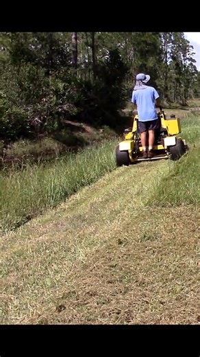 My Great Dane mower in tall Bahia grass. #satisfying #Lawncare #mowing | Something 2LookAt