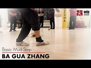 BA GUA ZHANG - Basic Mud Step (camp 2019)