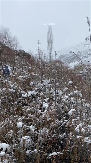 Available From Lahore / Islamabad & Karachi Book Yours seats Upcoming Trips: • 3 Days = Swat, Kalam & Malam Jabba • 3 Days = Neelum Valley, Kashmir • 5 Days = Hunza, China Border & Naltar Valley • 5 Days = Fairy Meadows & Nanga Parbat Base Camp • 7 Days = Skardu, Basho Valley & Deosai Plains • 8 Days = Hunza, Skardu, China Border, Skardu & Basho Valley FOR DETAILS & BOOKING: Contect us on WhatsApp (Number in profile)