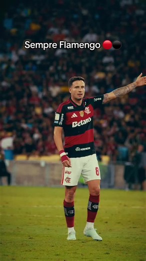 ❤️🔴⚫️ | Flamengo