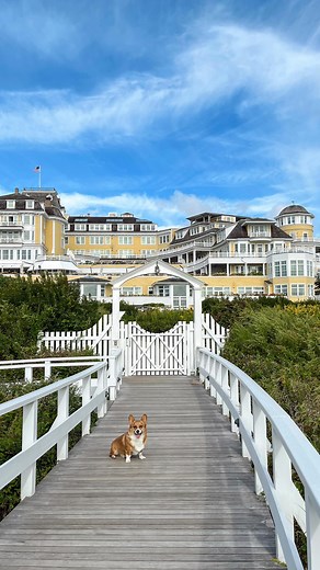 Corgi • Luxury dog travel • on Instagram: "The BEST dog friendly hotels in America to spoil your dog 🇺🇸🐾 1 - 📍 OCEAN HOUSE @oceanhouseri Dogs are welcomed with warm bone broth made fresh for your pup, while you sip on 🥂 🎾A dog bed, bath robe, Bowls, a ball launcher are provided 🍽️Pet programe offers a dog menu, which can be orders as room service. 🛎️Pet concierge to provide the latest information about pet walk areas and to assist with arrangements for pet sitting services upon request. 