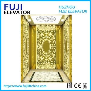 [Hot Item] Small Passenger Home Sightseeing Elevator Machine Room China Factory