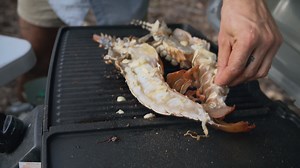 Popcorn Crayfish Cook Up - BCF