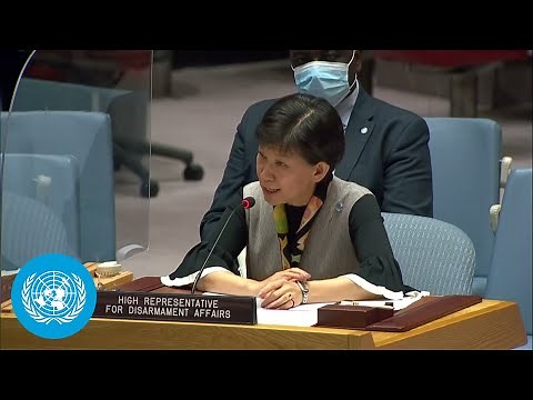 Small Arms & Light Weapons Undermines Peace & Security Globally - Security Council | United Nations