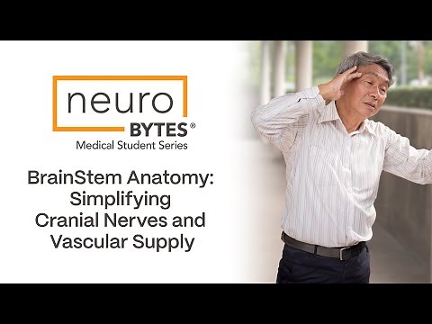 Brainstem Anatomy: Simplifying Cranial Nerves and Vascular Supply - American Academy of Neurology