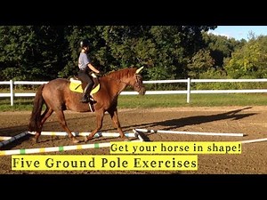 Five Ground Pole Exercises || Get Your Horse in Shape!