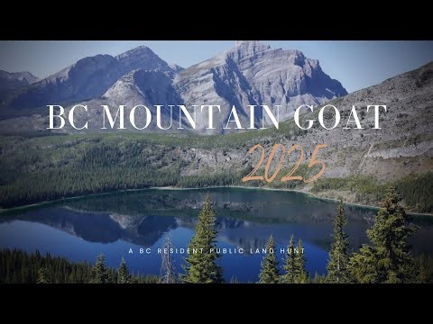 2025 British Columbia Mountain Goat Hunt - Hunting BC