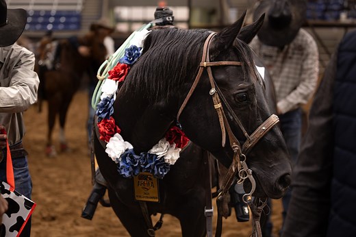 15K views · 274 reactions | Dean Tuftin’s rope horse program...