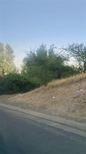 Videos de Ana te sigue TE ✨🐑 mora (@1_haydee_1) con “sonido original - BIOS MUY INTERESANTES”