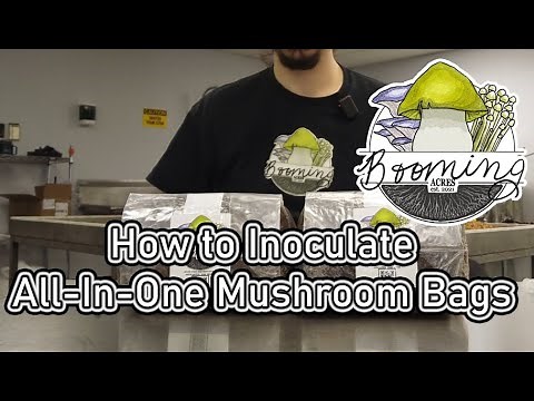 How To Inoculate An All In One Mushroom Grow Bag
