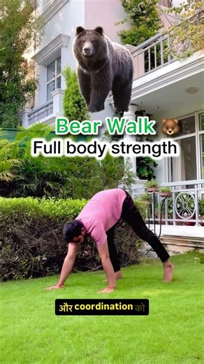 Animal Walks Benefits | Frog, Duck, Bear, Crab, Wheel Walk | Full Body Strength & Mobility