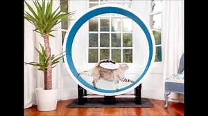 2.5K views · 51 reactions | New wheels arrive in under 3 weeks, there...