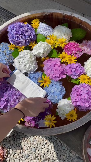 山形県の観光名所：立石寺と日枝神社を訪れよう！