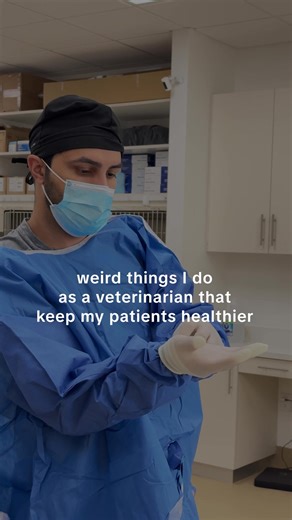 Essential Vet Practices for Healthier Pets