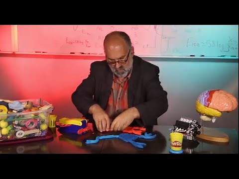 Regenerating Neurons | Science: Out of the Box