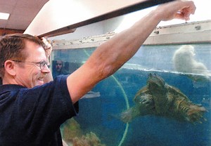 5 Reasons Feeding Turtles Live Food Is Animal Cruelty