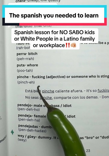 Essential Spanish Lessons for Beginners and NO SABO Kids