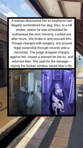 She Broke the Law to Save Her Dog—and the Judge Gave Him Back