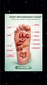 What Is Reflexology? Foot Reflexology Points…