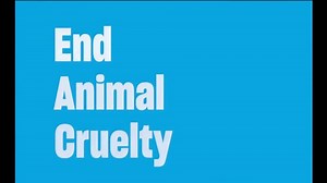 Humane World for Animals TV Spot, 'Continuing Our Mission'