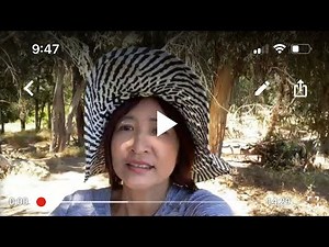 Tìm hiểu phỏng vấn người Việt Nam vô gia cư ( Homeless) ở Mỹ hiện nay tập 2 phần cuối