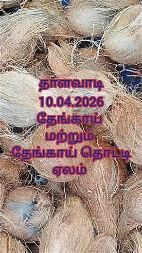 தாளவாடி தேங்காய் மற்றும் தேங்காய் தொட்டி ஏலம் #thalavadi #vivasayam