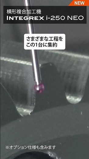 INTEGREX i-250 NEO
