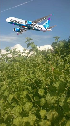 अंबेडकर एयरबस #airplane sound effects #shorts