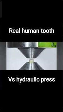 Real human tooth vs hydraulic press #hydraulicpress