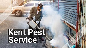 Kent Pest Service