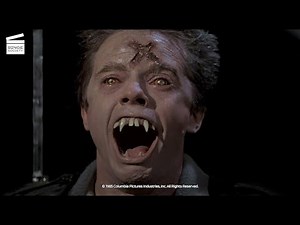 Fright Night: The transformation HD CLIP