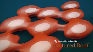 The Future Will Be Full of Lab Grown Meat