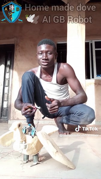 Testing my Dove 🕊️ AI performance 🦾💪🫶🤖 #trendingsong #fyp #newsound #gb #gbrobot #robot #AI #funny #dove #aeronauticaldreamer