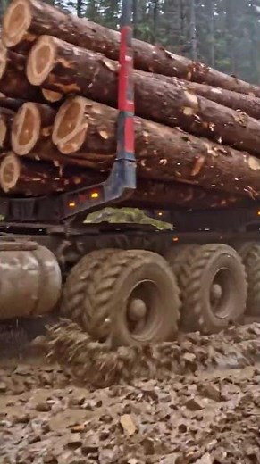 Monster Truck Powers Through Impossible Mud #truck #shorts #viralvideo #usa