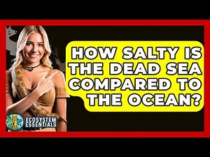 How Salty Is The Dead Sea Compared To The Ocean? - Ecosystem Essentials