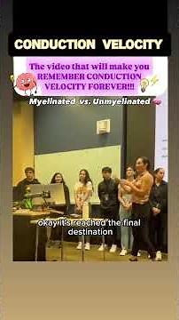 Anatomy Professor Explains | 🧠Neuron Conduction Velocity EASYYY🌟