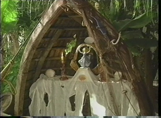 1994 VHS • Eyewitness Shark 60 FPS : The Vista Group® : Free Download, Borrow, and Streaming : Internet Archive