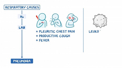 Video: Approach to dyspnea: Clinical sciences - Video Explanation! | Osmosis | Osmosis