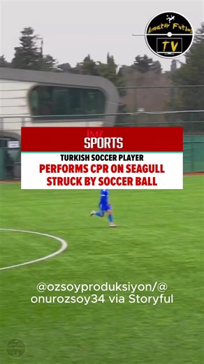 A seagull had his flight interrupted after being struck by a soccer ball, but thankfully one of the players knew how to perform bird CPR. 🙌🦅 | TMZ